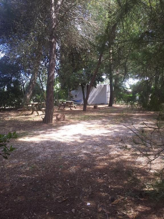 Agriturismo Vignavecchia ヴィニャカストリジ エクステリア 写真