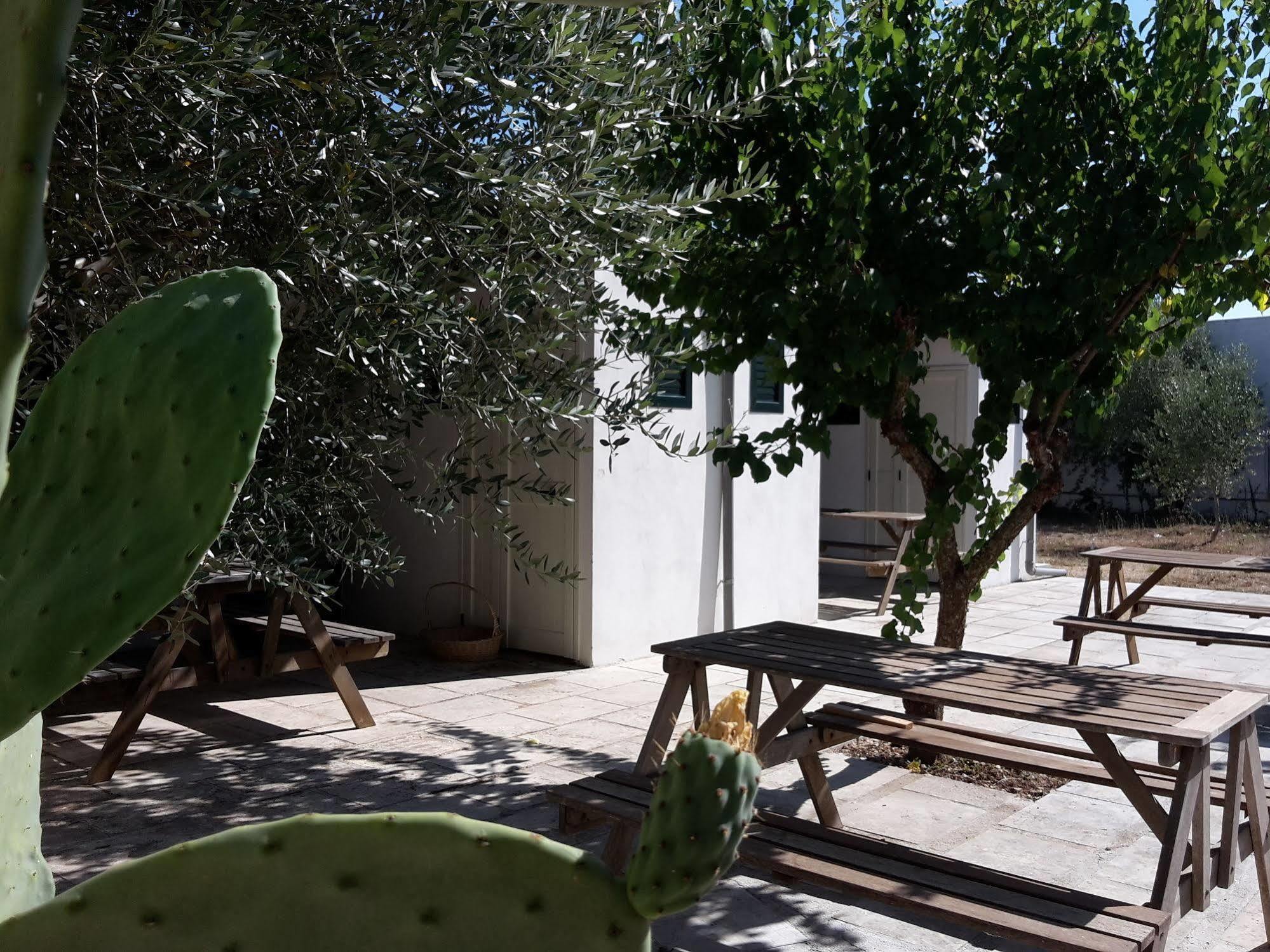 Agriturismo Vignavecchia ヴィニャカストリジ エクステリア 写真